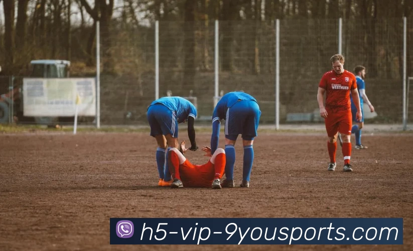 九游体育app下在APP 封面图